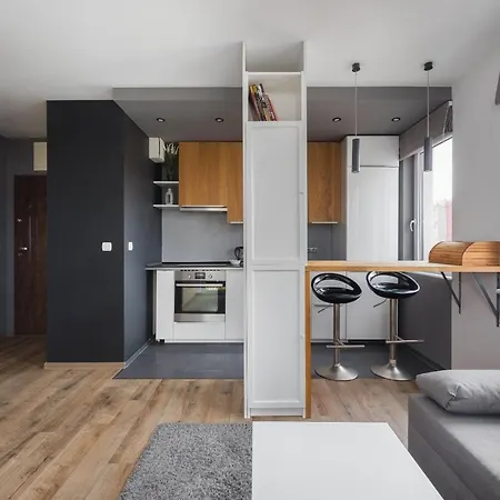 Apartment Arte Praga Koneser