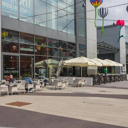 Arte Praga Koneser By Bookinghost